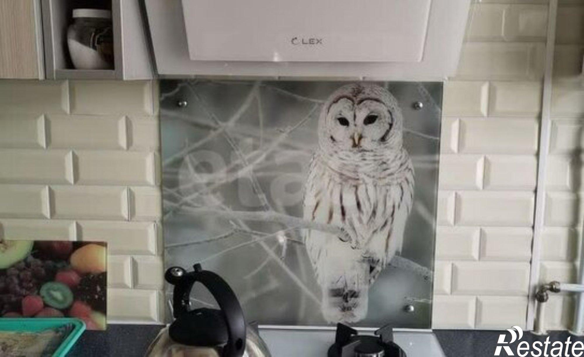 Купить квартиру за 2 700 000 рублей на улица Оплеснина, 13